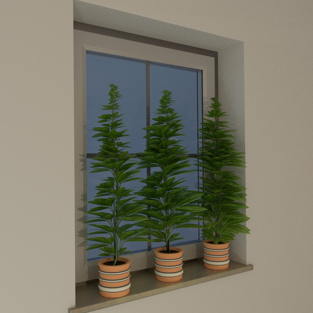 Window Plant preview image 4